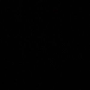 Meet your Posher, Amira